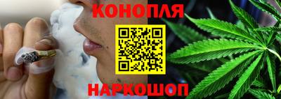 трава Кингисепп