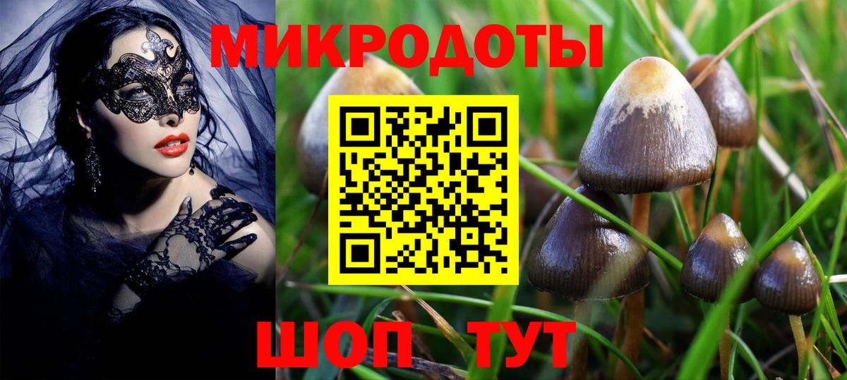 Псилоцибиновые грибы прущие грибы  Псилоцибиновые грибы мухоморы  где найти   Вход с VPN  Комсомольск-на-Амуре 